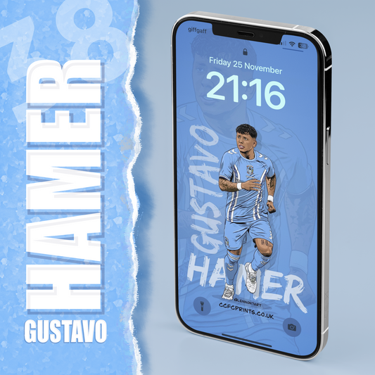 Gustavo Hamer - smartphone wallpapers