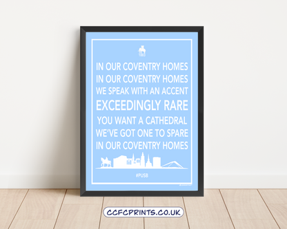 In Our Coventry Homes - fan chart word art