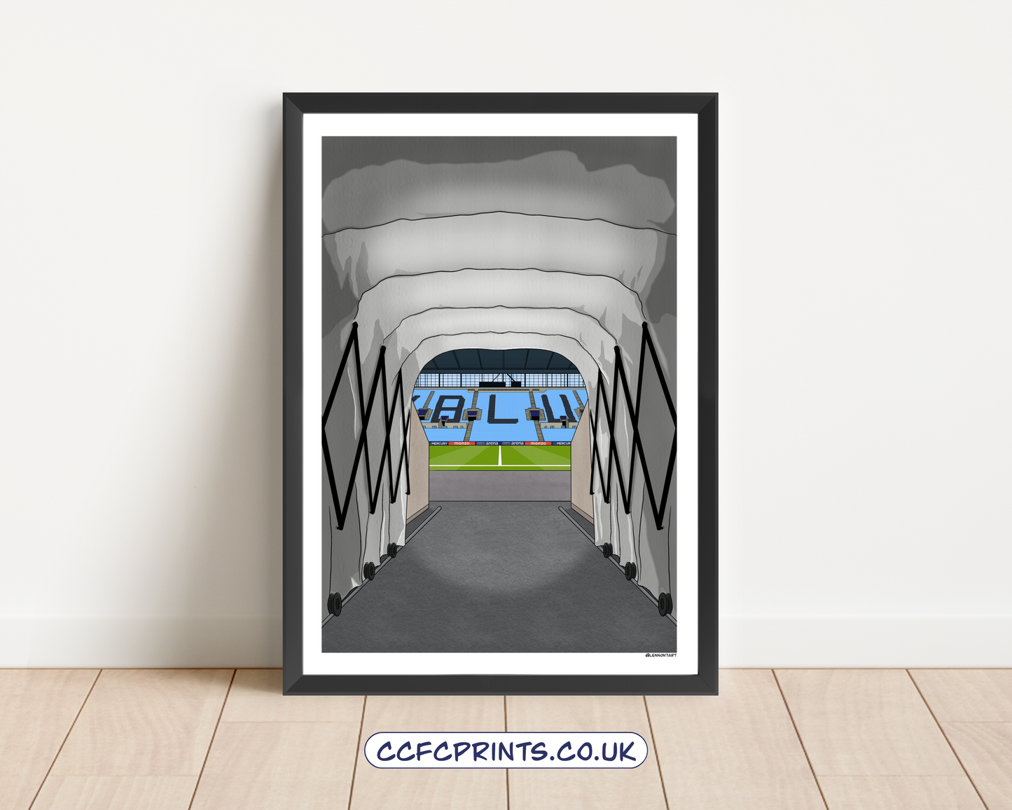 CBS Arena montage/individual prints