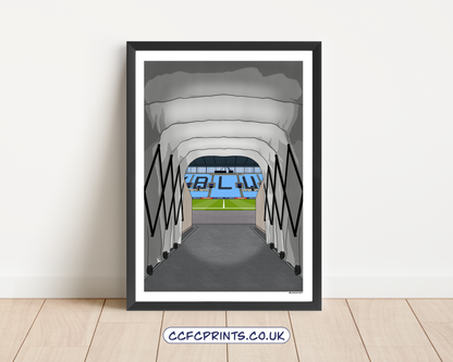 CBS Arena montage/individual prints