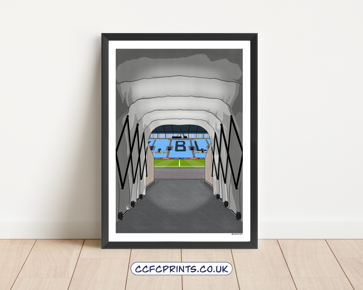 CBS Arena montage/individual prints