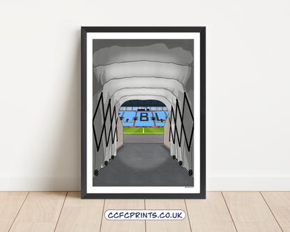 CBS Arena montage/individual prints