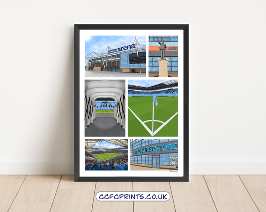 CBS Arena montage/individual prints